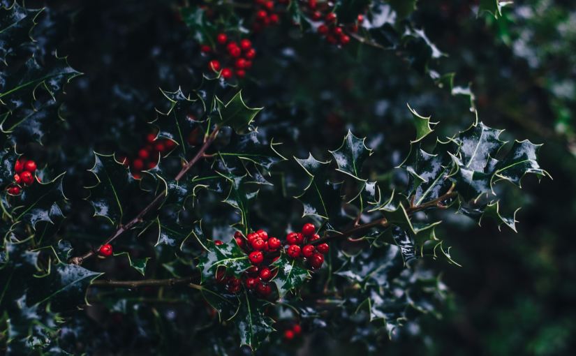 Memories of Christmas