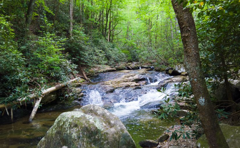 Be the Good Lord Willin’…